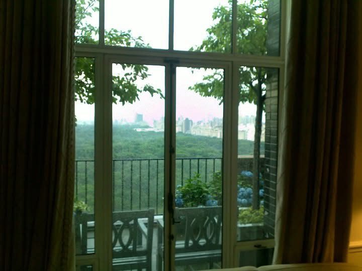 Central Park seen through tall French doors from a high floor apartment